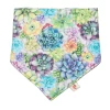 Bandana Bib - Succa -Umweltfreundlicher Windel Geschäft 10181