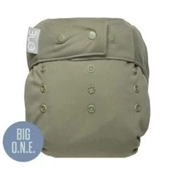 Fern - BIG O.N.E. Diaper GroVia -Umweltfreundlicher Windel Geschäft 11490