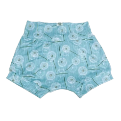 Shorties - Blown Away