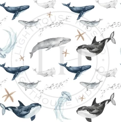 Packing Pod - Whale Tale