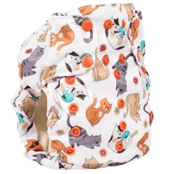 Smart One 3.1 - Felix