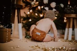 *NEW* SWITCH™️ Cover System - Vintage Branch -Umweltfreundlicher Windel Geschäft 7649