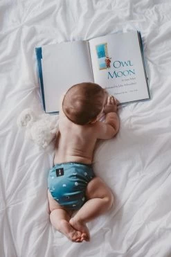 SWITCH™️ Cover System - Dusk 13 SWITCH™️ Cover System - Dusk -Umweltfreundlicher Windel Geschäft 7966