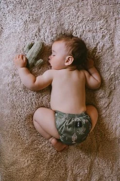 AIO Grande SUPREME™️ - Agave